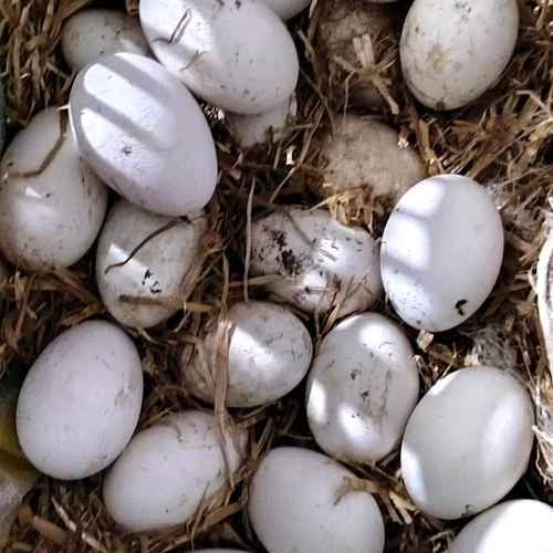 1775799546339_image_edit_1774511834375.png (1).jpg