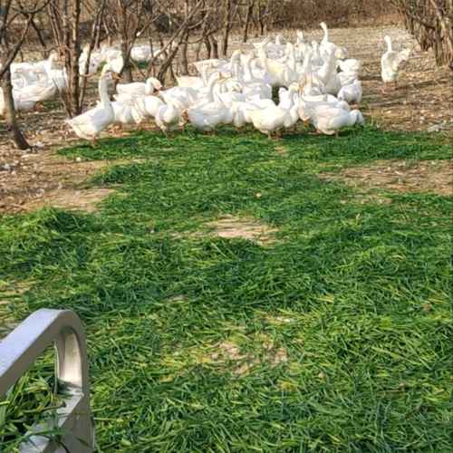 1775799546409_image_edit_1774511869202.png (1).jpg