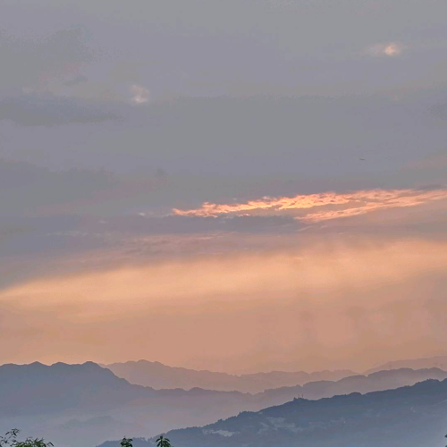 手机用户19529997775