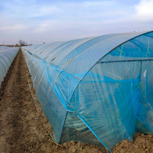 渭南产地水果代办雷